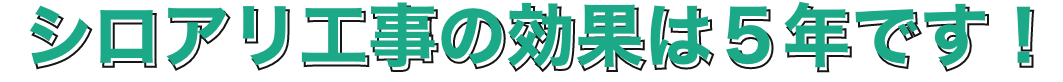 シロアリ工事の効果は５年です！